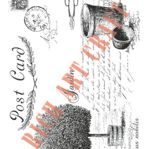 EASY TRANSFER BIG (FOR LIGHT BACKGROUND) 6798