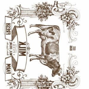 EASY TRANSFER VINTAGE 1347