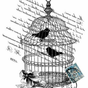 EASY TRANSFER VINTAGE 1366