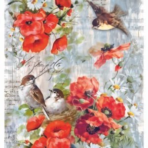 WATER-SLIDE PAPER 19720