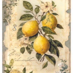 WATER-SLIDE PAPER 19726