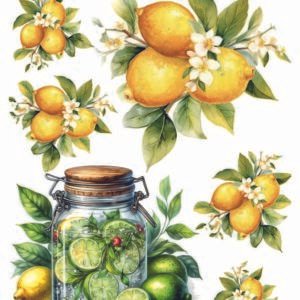 WATER-SLIDE PAPER 19729