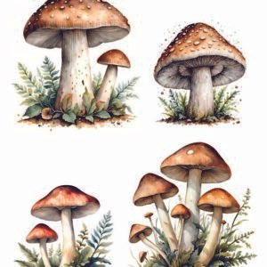 WATER-SLIDE PAPER 19746