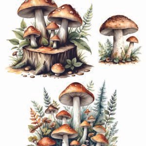 WATER-SLIDE PAPER 19747