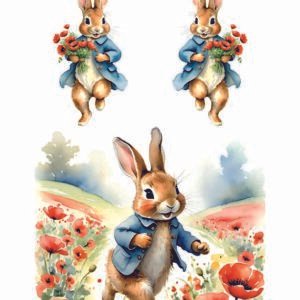 WATER-SLIDE PAPER 19755