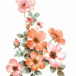 WATER-SLIDE PAPER 19764