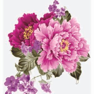 WATER-SLIDE PAPER 19766