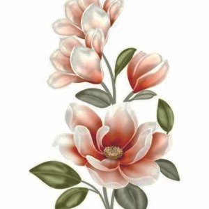 WATER-SLIDE PAPER 19771