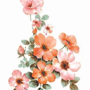 WATER-SLIDE PAPER 19773