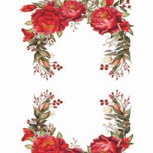 WATER-SLIDE PAPER 19785