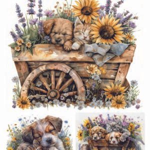 WATER-SLIDE PAPER 19789