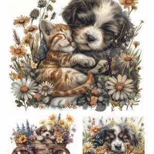 WATER-SLIDE PAPER 19790