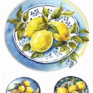 WATER-SLIDE PAPER 19799