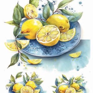 WATER-SLIDE PAPER 19800