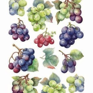 WATER-SLIDE PAPER 19801