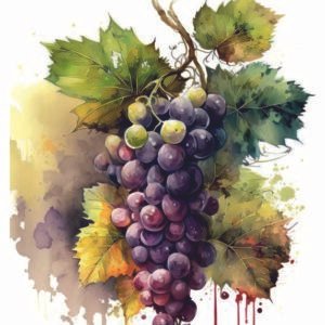 WATER-SLIDE PAPER 19802