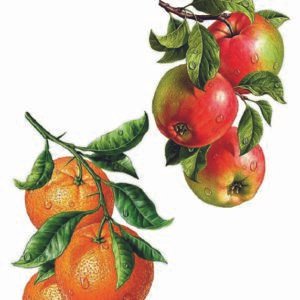 WATER-SLIDE PAPER 19803