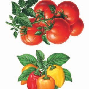 WATER-SLIDE PAPER 19806