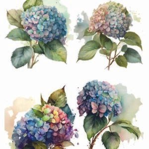 WATER-SLIDE PAPER 19807