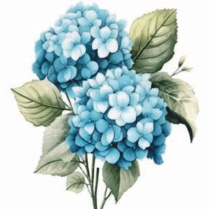 WATER-SLIDE PAPER 19811