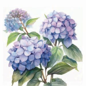 WATER-SLIDE PAPER 19812