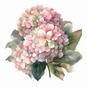 WATER-SLIDE PAPER 19813