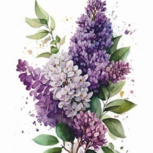 WATER-SLIDE PAPER 19823