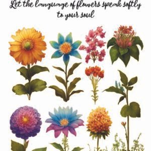 WATER-SLIDE PAPER 19931