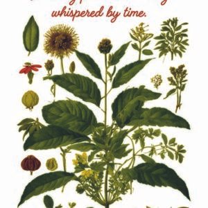 WATER-SLIDE PAPER 19932