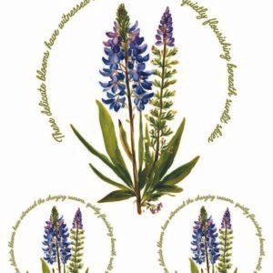 WATER-SLIDE PAPER 19933