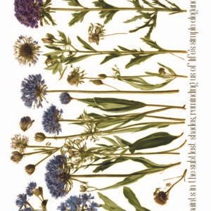 WATER-SLIDE PAPER 19934