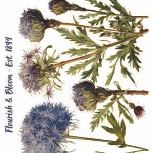 WATER-SLIDE PAPER 19935