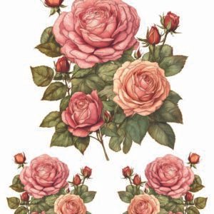 WATER-SLIDE PAPER 19943