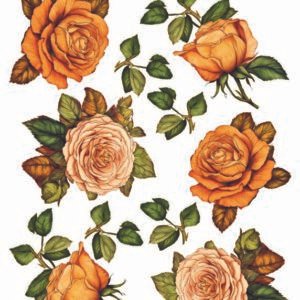 WATER-SLIDE PAPER 19944