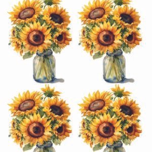 WATER-SLIDE PAPER 19946