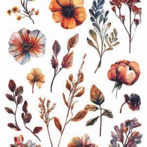 WATER-SLIDE PAPER 19947