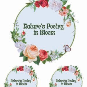 WATER-SLIDE PAPER 19950