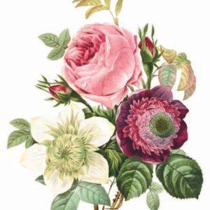 WATER-SLIDE PAPER 19953