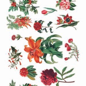 WATER-SLIDE PAPER 19955