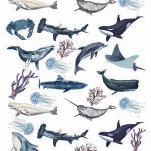 WATER-SLIDE PAPER 19968