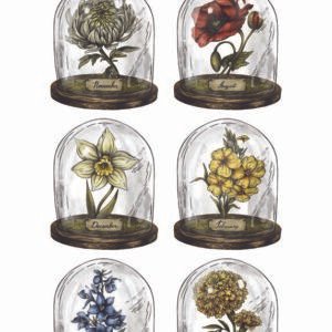 WATER-SLIDE PAPER 20072