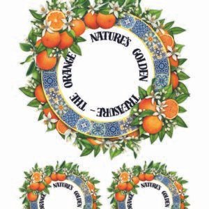 WATER-SLIDE PAPER 20074