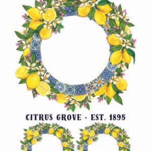 WATER-SLIDE PAPER 20075