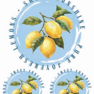 WATER-SLIDE PAPER 20076