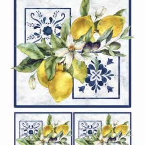 WATER-SLIDE PAPER 20078