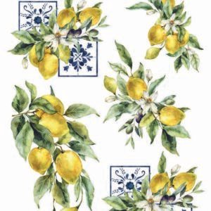 WATER-SLIDE PAPER 20079