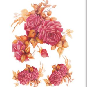 EASY TRANSFER SMALL ( FOR DARK BACKGROUND ) 5010