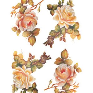 EASY TRANSFER SMALL ( FOR DARK BACKGROUND ) 5012