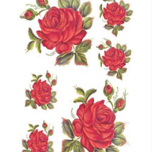 EASY TRANSFER SMALL ( FOR DARK BACKGROUND ) 5024