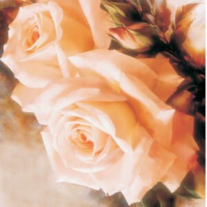 EASY TRANSFER SMALL ( FOR DARK BACKGROUND ) 5050